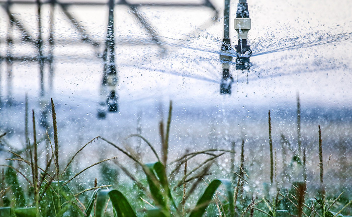 Sistema di irrigazione