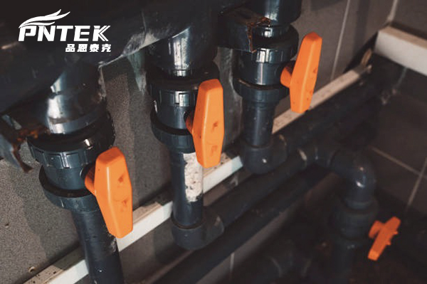 A close-up of the internal EPDM O-rings and PTFE seats of a Pntek valve