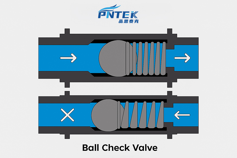 Function of a Ball Check Valve