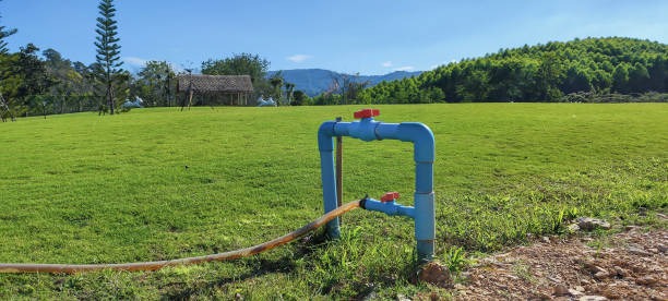 A weathered PVC ball valve still functioning correctly on an outdoor irrigation manifold