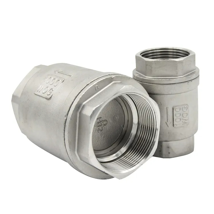China Pntek Stainless Steel One Way Non Return Check Valve Npt Bsp ...