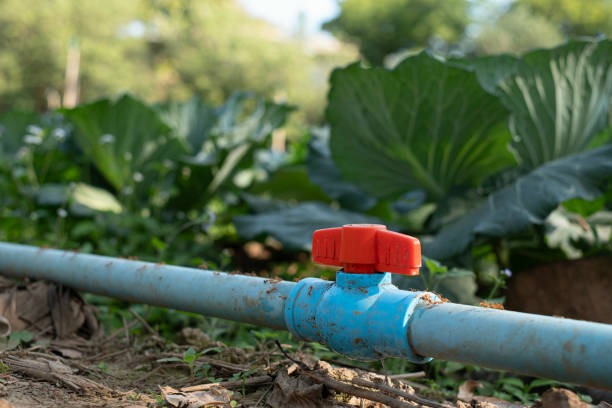 A complex irrigation manifold using multiple PVC ball valves to control different watering zones