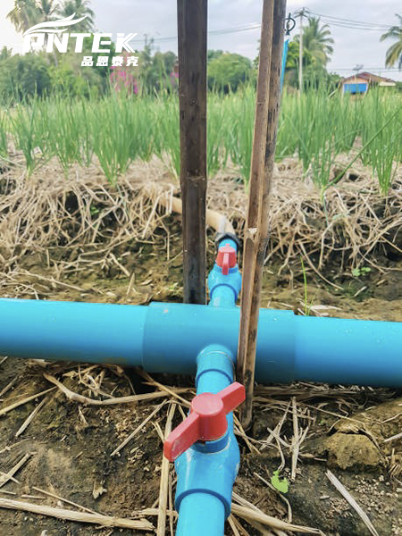 A PVC ball valve installed in a complex irrigation manifold to control different watering zones