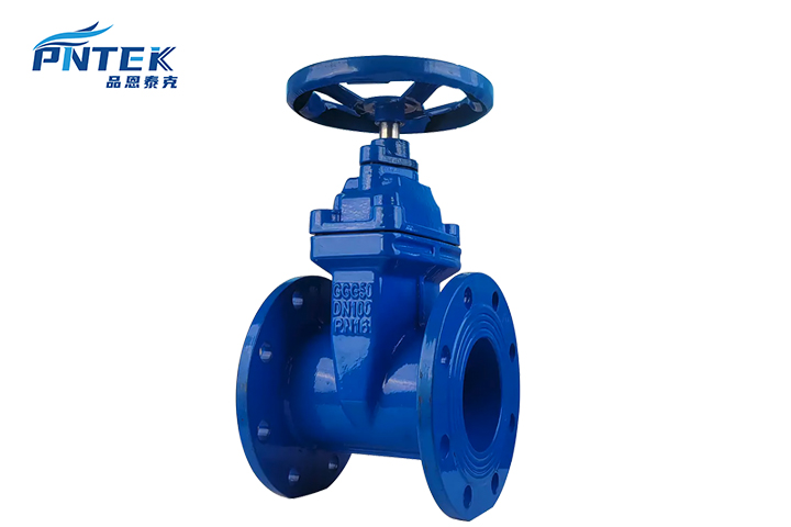 The Common Non-Rising Stem Gate Valve A standard non-rising stem gate valve with a blue handwheel