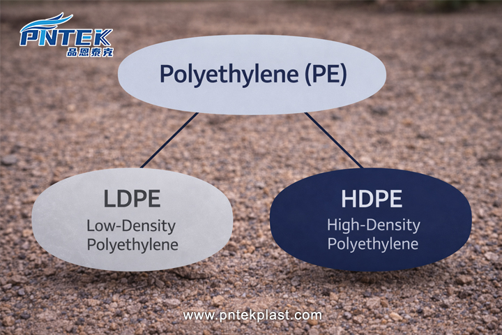 A simple diagram showing 'Polyethylene (PE)' as a large category, with 'LDPE' and 'HDPE' as types within it