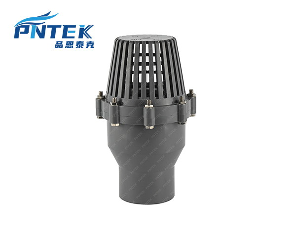 The purpose of a foot valve is to prevent backflow A cutaway view of a foot valve, highlighting the internal mechanism that stops backflow